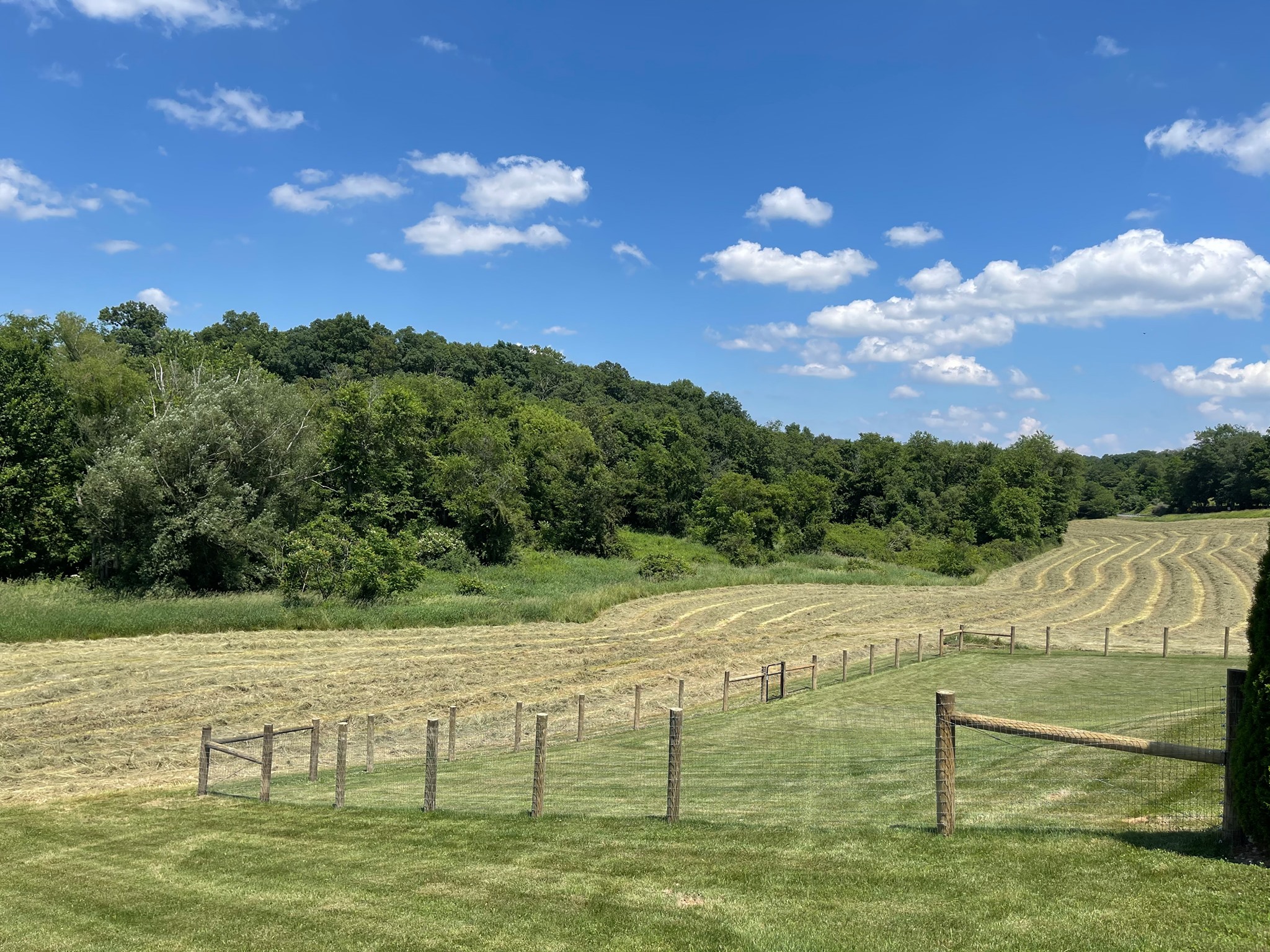 New farm fence installation by Oak and Iron Farm Fence
