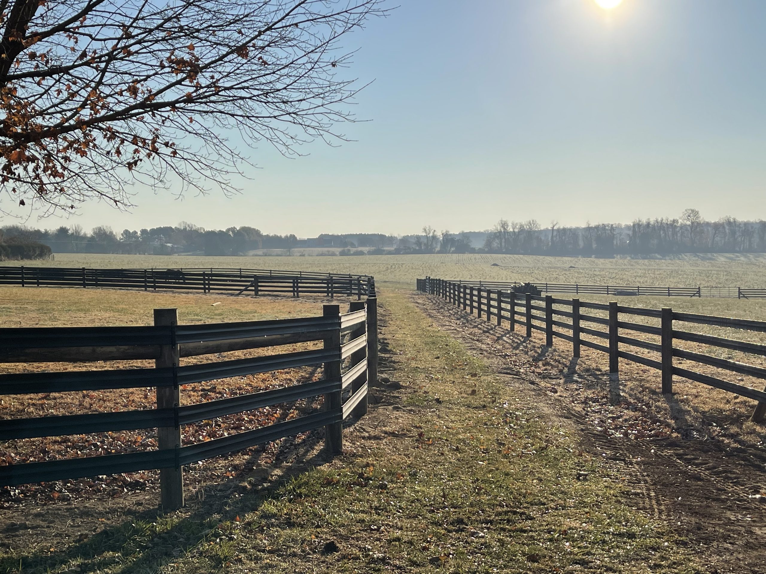 New farm fence installation by Oak and Iron Farm Fence