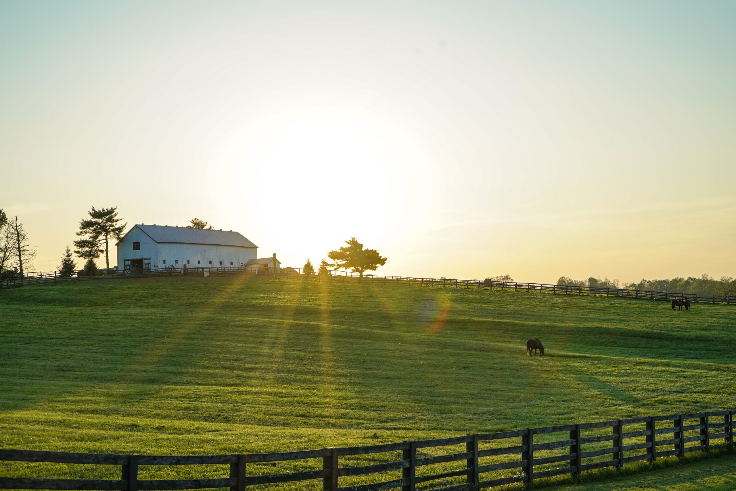 White house beside grass field