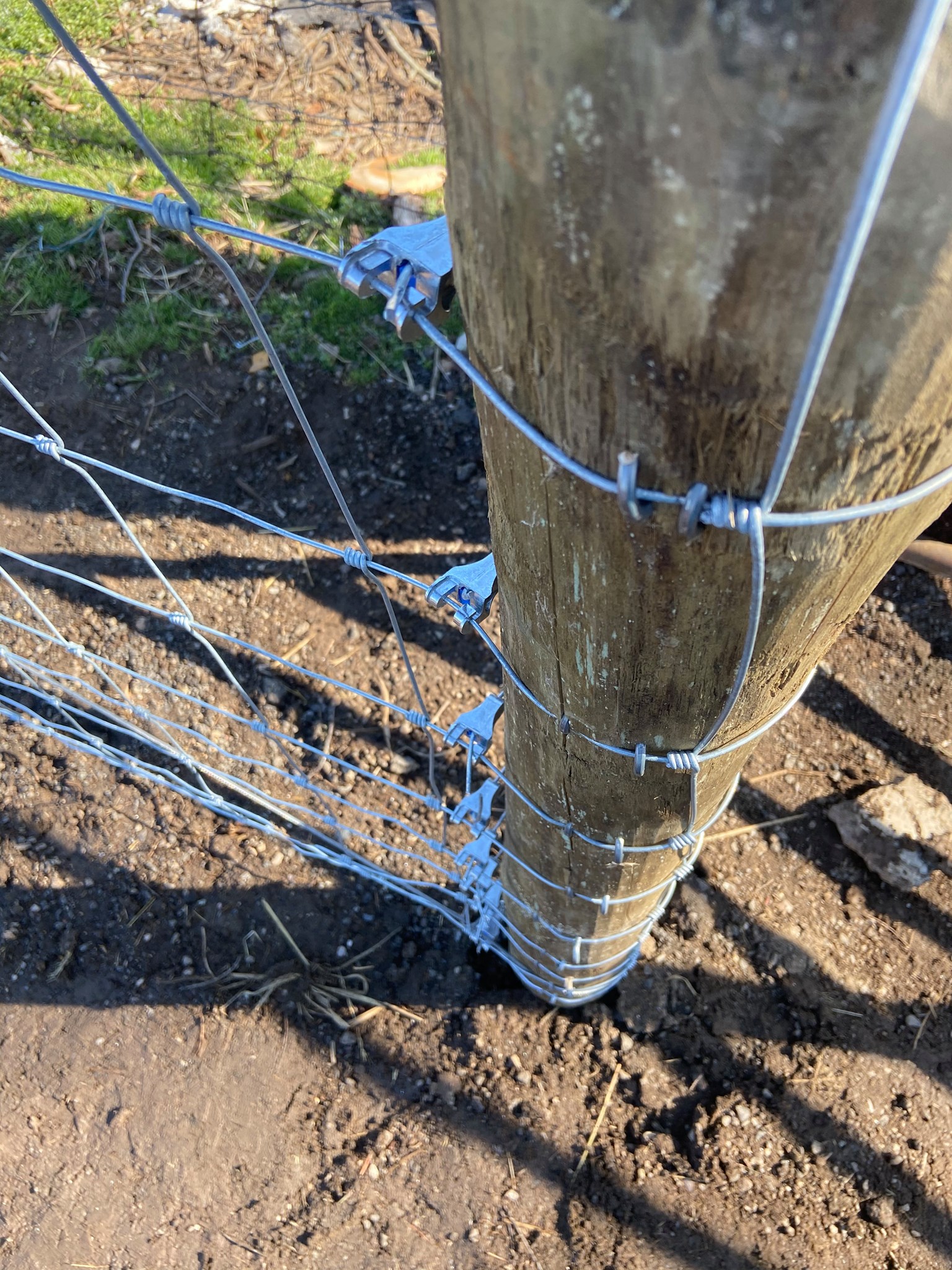 New farm fence installation by Oak and Iron Farm Fence