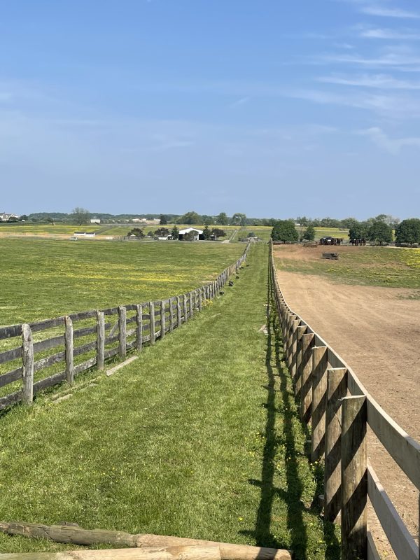 New farm fence installation by Oak and Iron Farm Fence