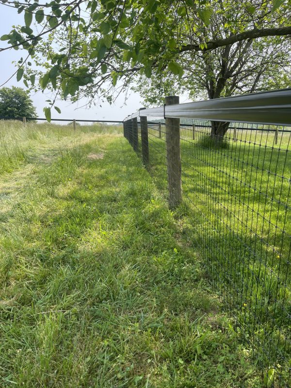 New farm fence installation by Oak and Iron Farm Fence